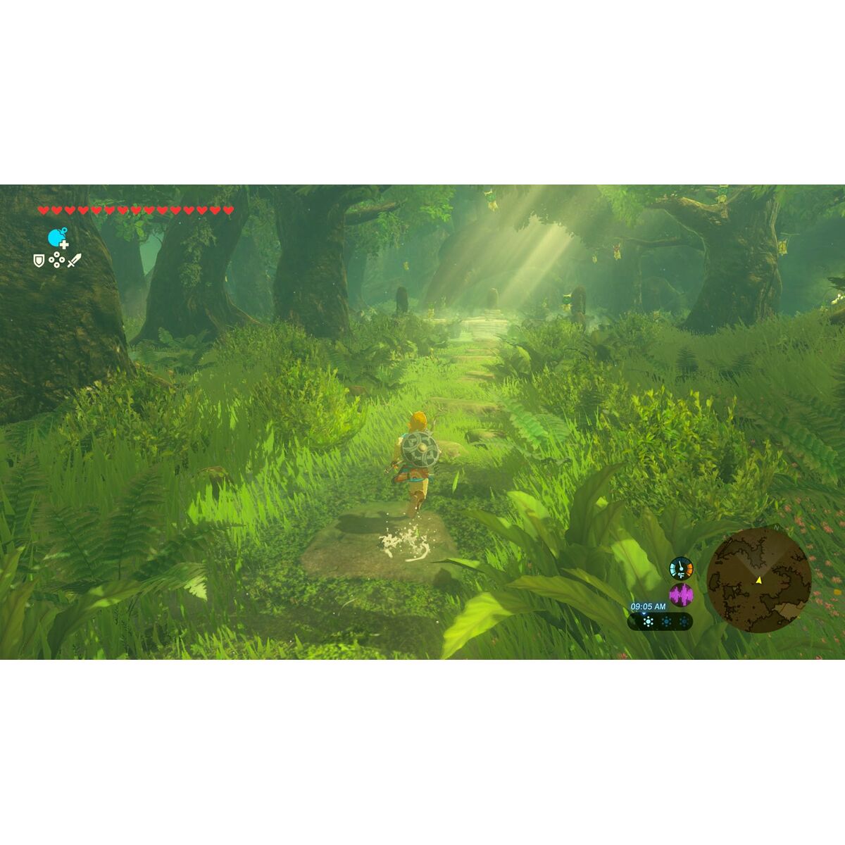Portable Game Console Nintendo TLOZ BOTW NS2E
