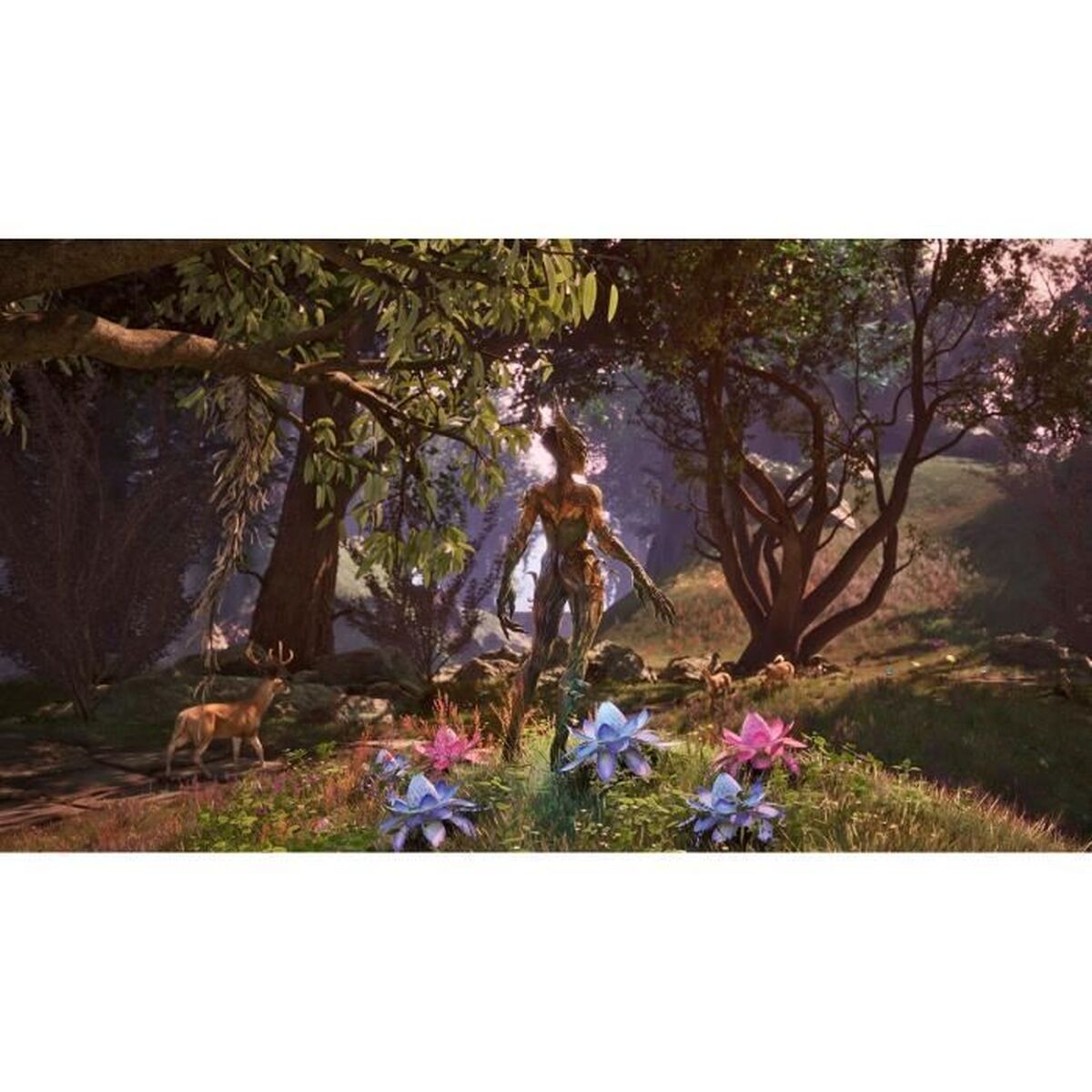 Xbox One Video Game Microsoft Elder Scrolls IV Oblivion