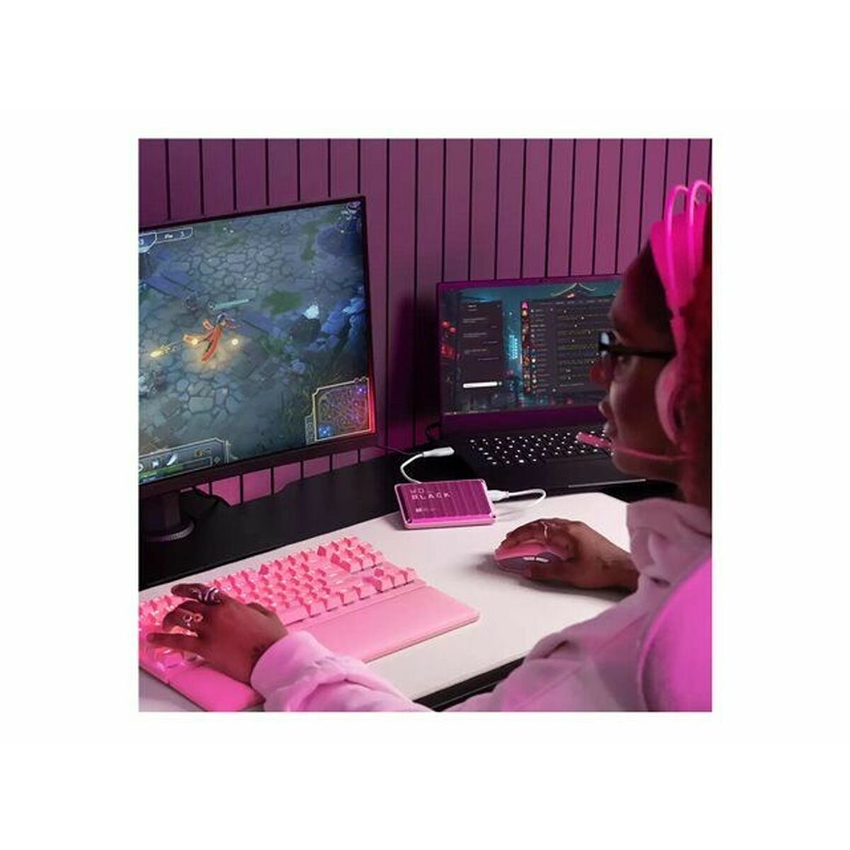 External Hard Drive Western Digital P10 2 TB HDD