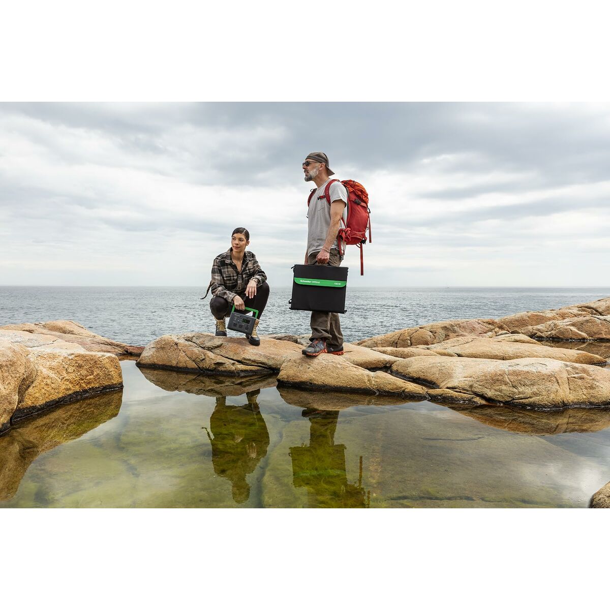 Uninterruptible Power Supply System Interactive UPS APC PSP100