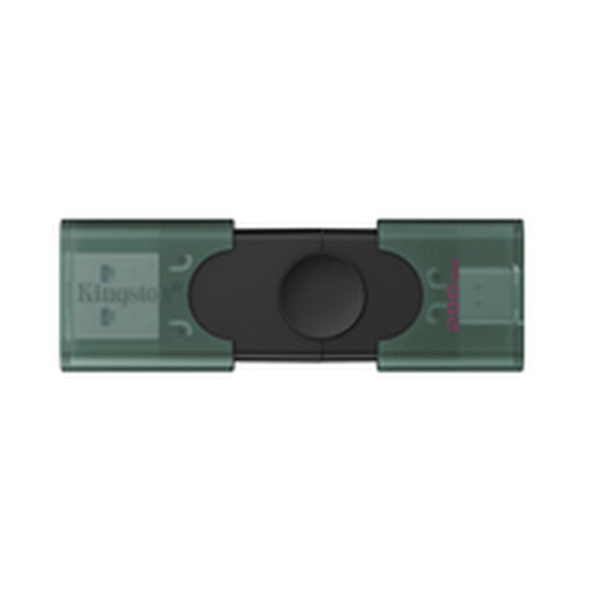 USB stick Kingston DTDEG2/256GB 256 GB Black Green