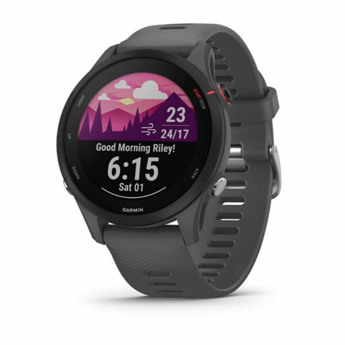 Smartwatch GARMIN Forerunner 255 Grey 1,3" 46 mm