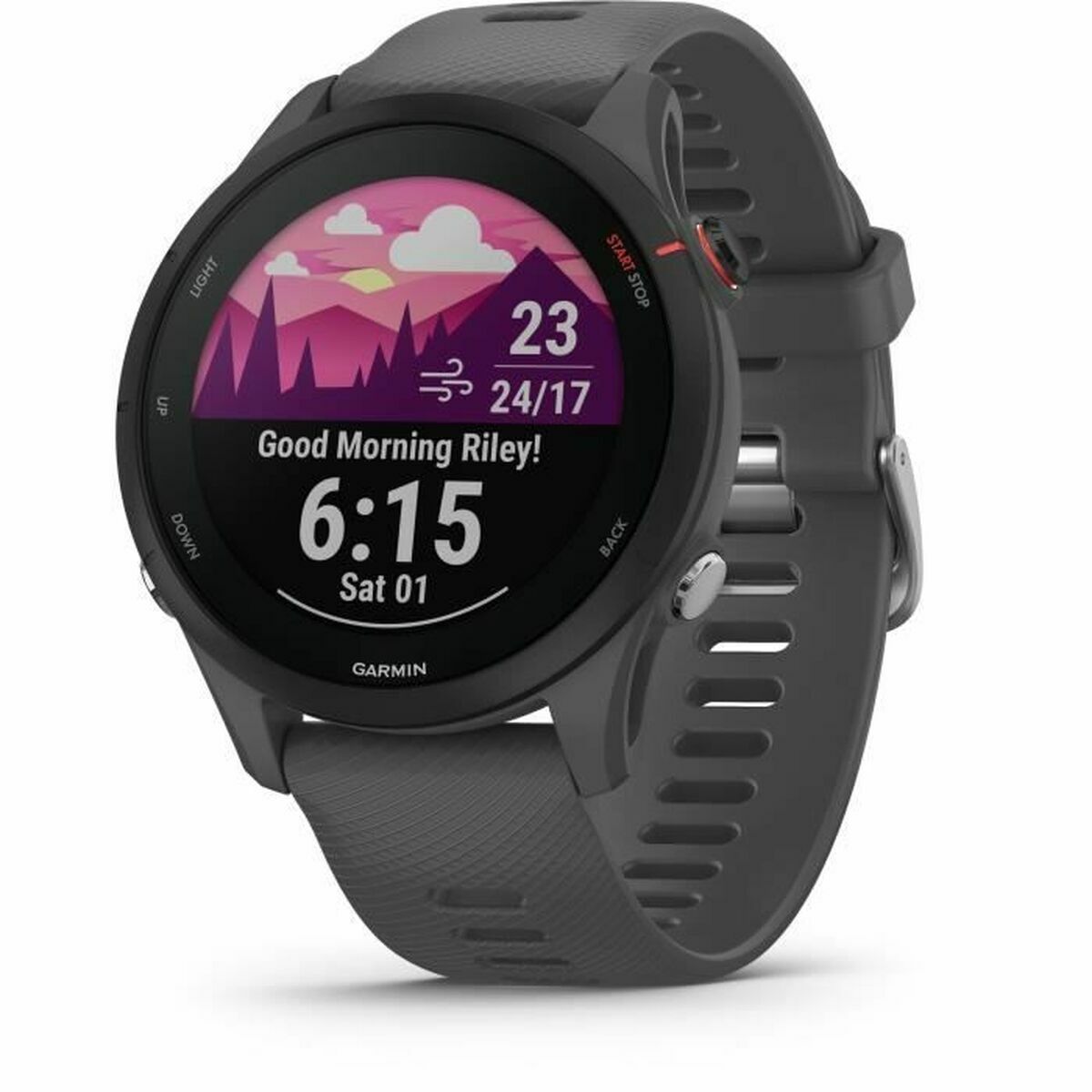 Smartwatch GARMIN Forerunner 255 Grey 1,3" 46 mm