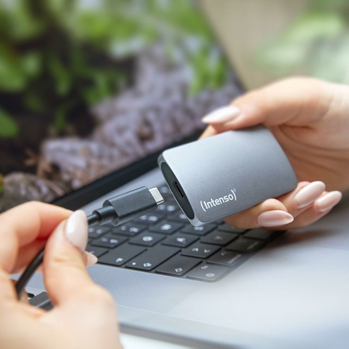 External Hard Drive INTENSO 3828450 2,5" 500 GB SSD