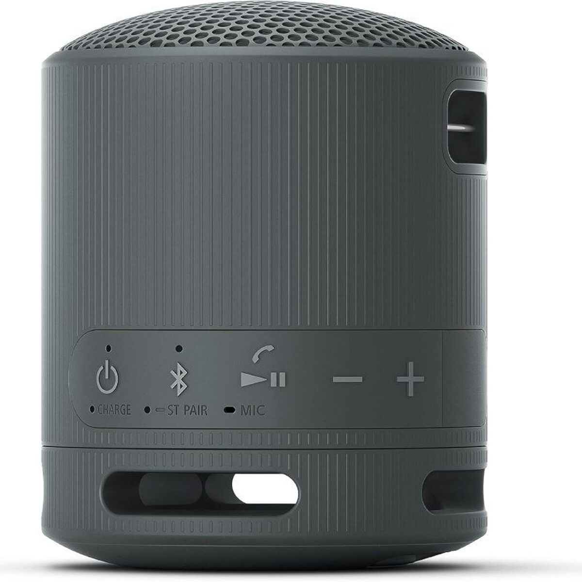 Portable Bluetooth Speakers Sony XB100 Black