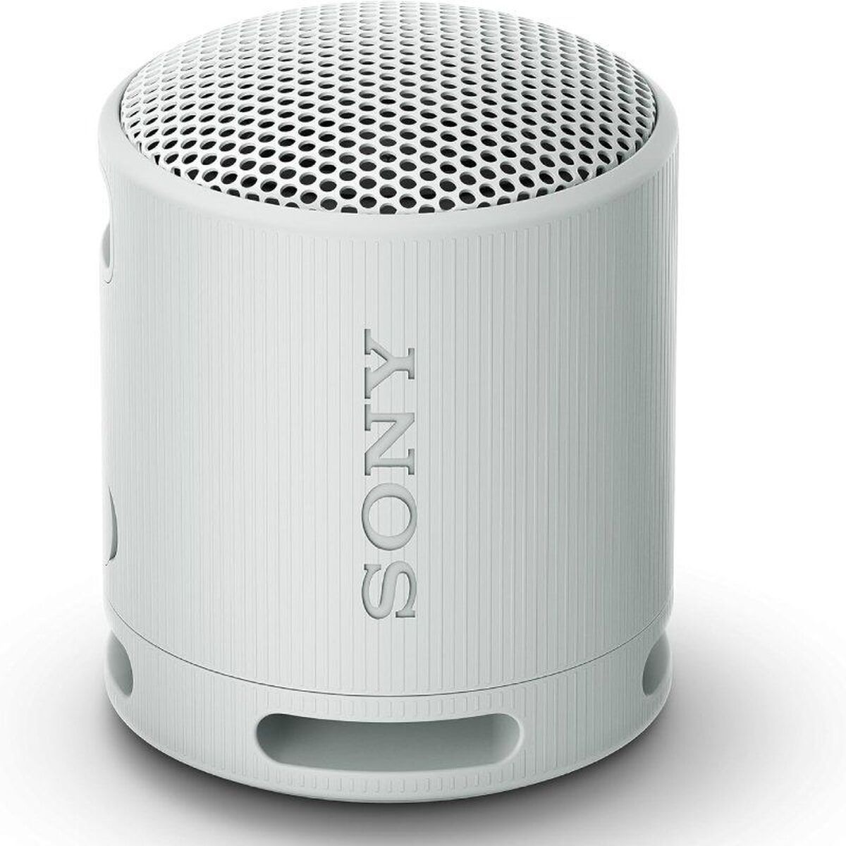 Portable Bluetooth Speakers Sony XB100 Grey