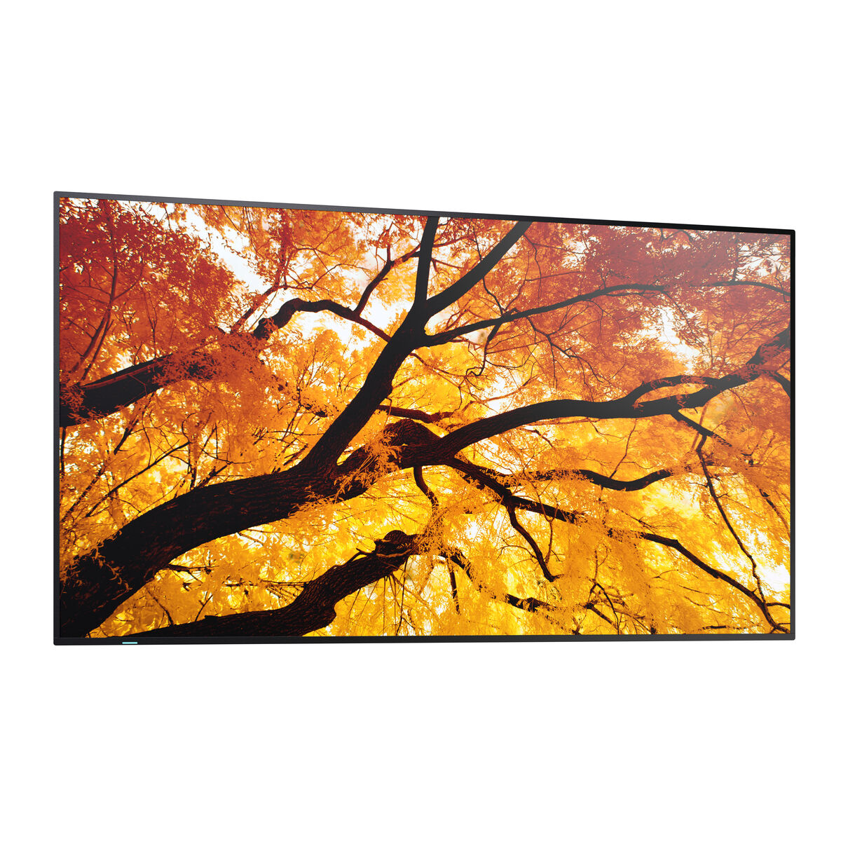 Videowall Monitor Sharp 60006053 4K Ultra HD 42,5"