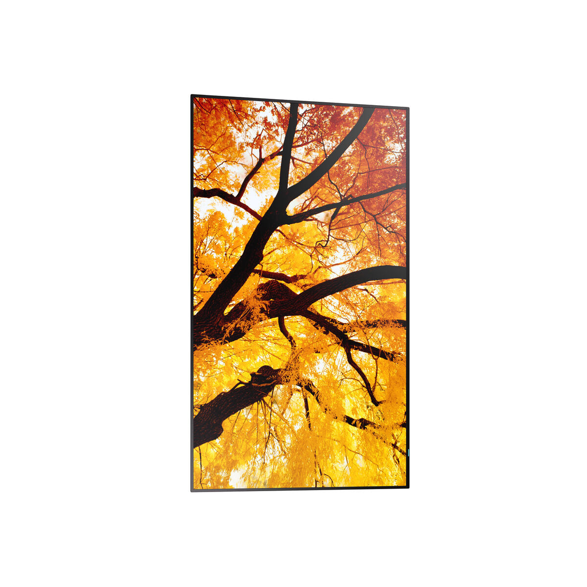 Videowall Monitor Sharp 60006052 Full HD 32"