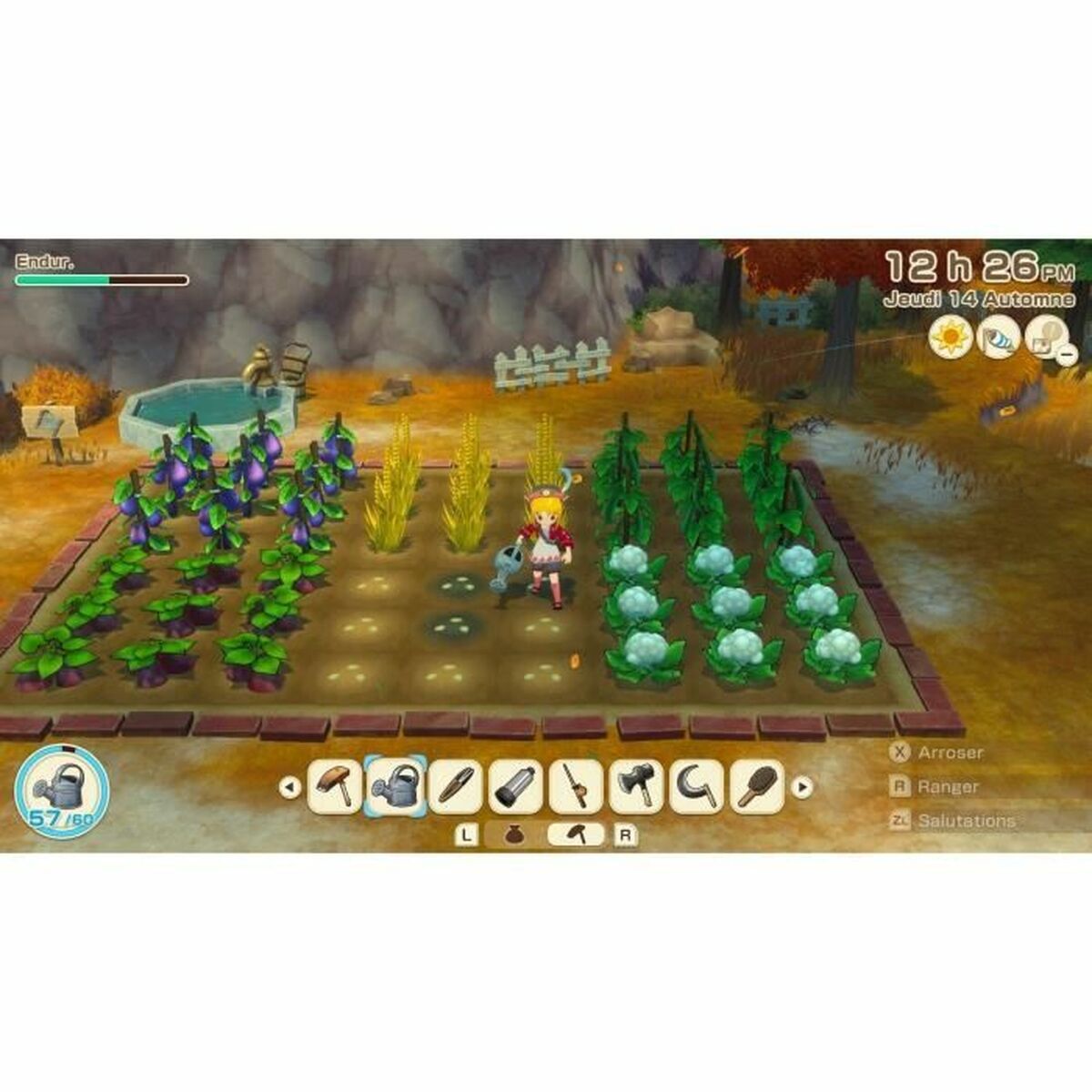Video game for Switch Just For Games Story of Seasons: Grand Bazaar