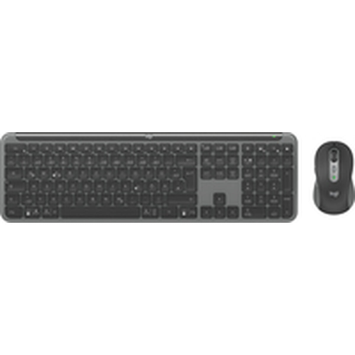 Keyboard and Mouse Logitech 920-012504 Graphite German QWERTZ