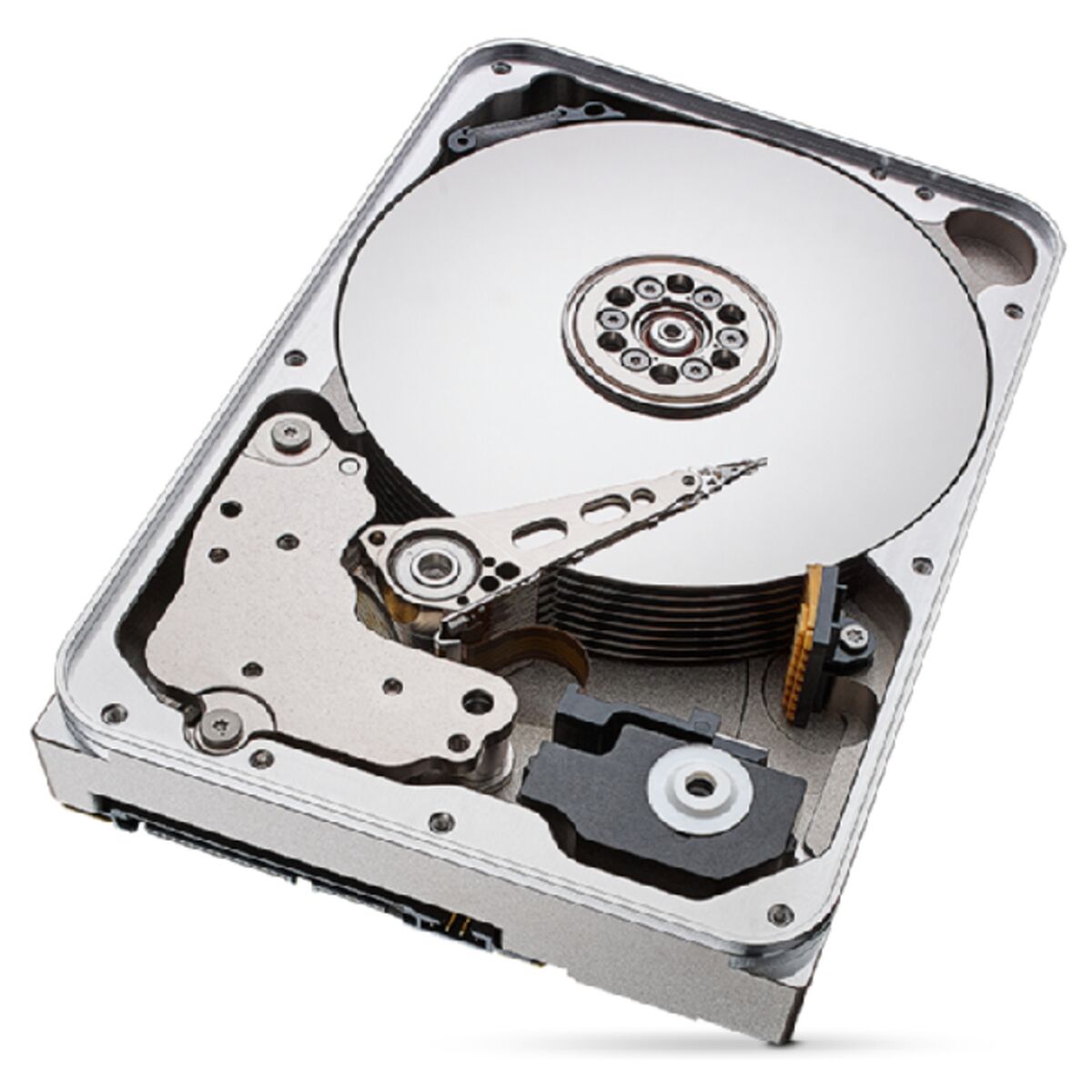 Hard Drive Seagate ST12000NT001 3,5"