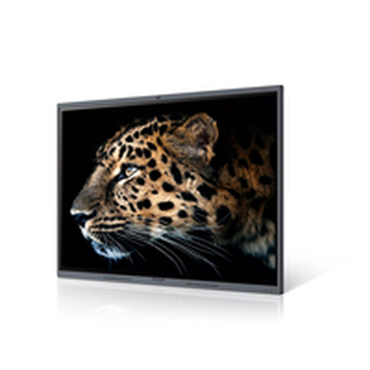 Videowall Monitor Maxhub C7530 4K Ultra HD 75"