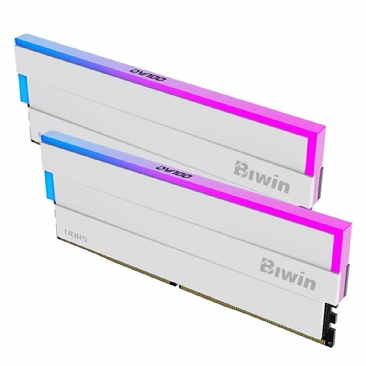 RAM Memory Biwin DW100 DDR5 6000 MHz 32 GB cl30