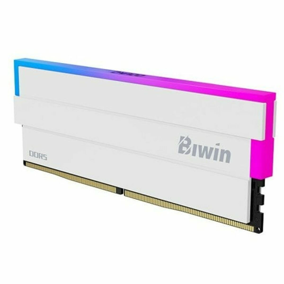 RAM Memory Biwin DW100 DDR5 6000 MHz 32 GB cl30