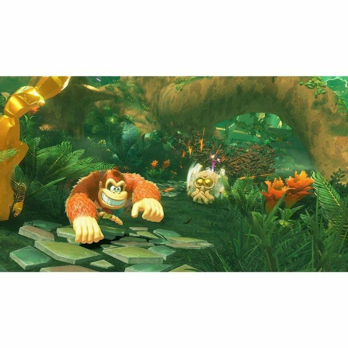 Video game for Switch Nintendo Donkey Kong Bananza Switch 2