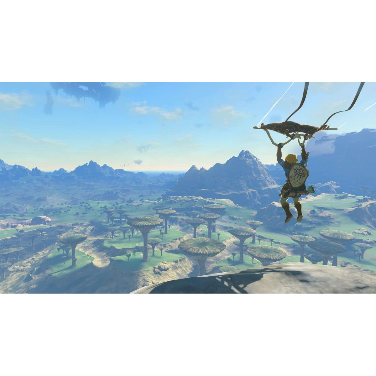 Video game for Switch Nintendo TLOZ TEA OFTKIN