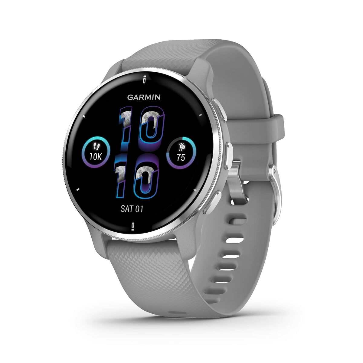 Smartwatch GARMIN 010-02496-10 Grey Silver 1,3" 43 mm