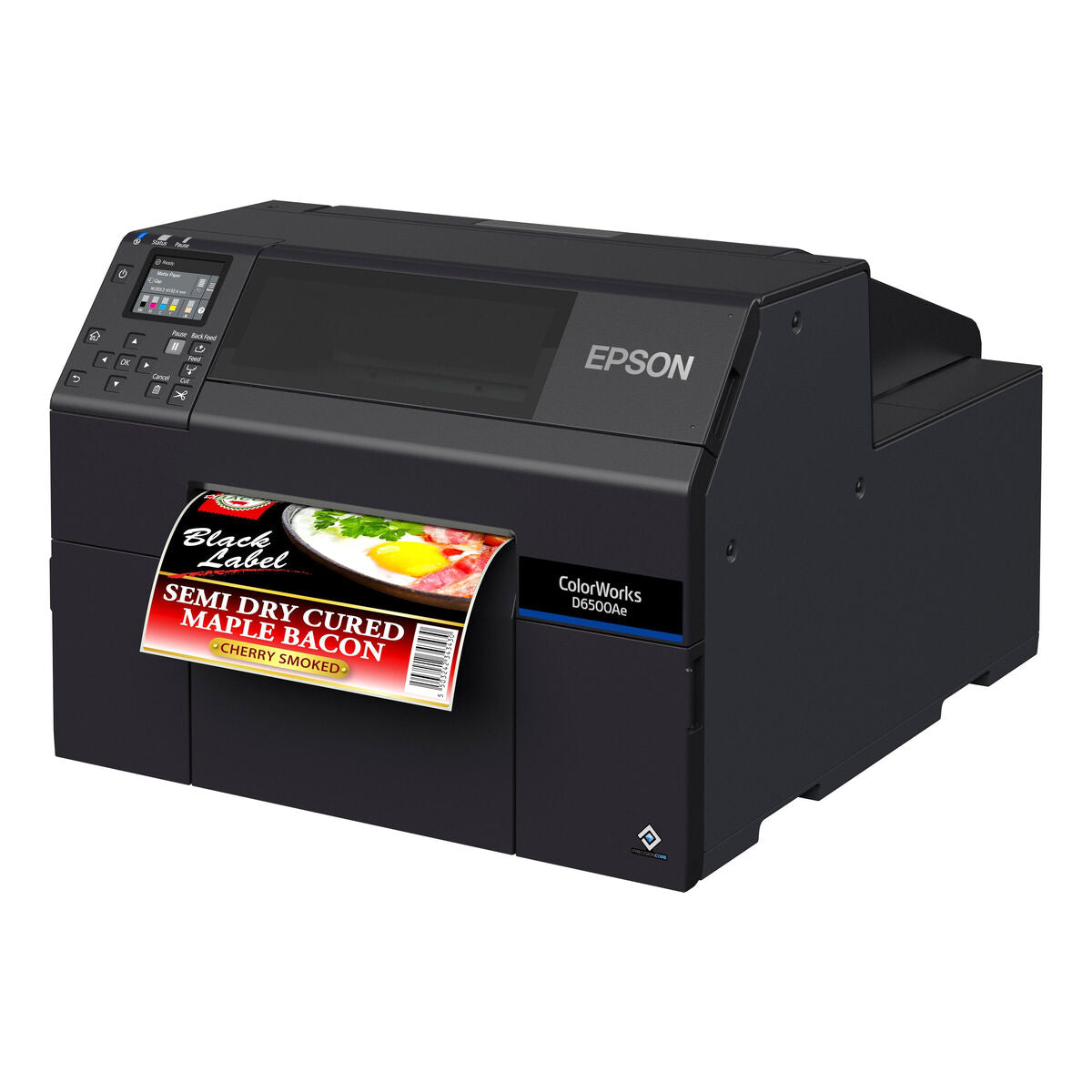 Photogrpahic Printer Epson C31CL91102