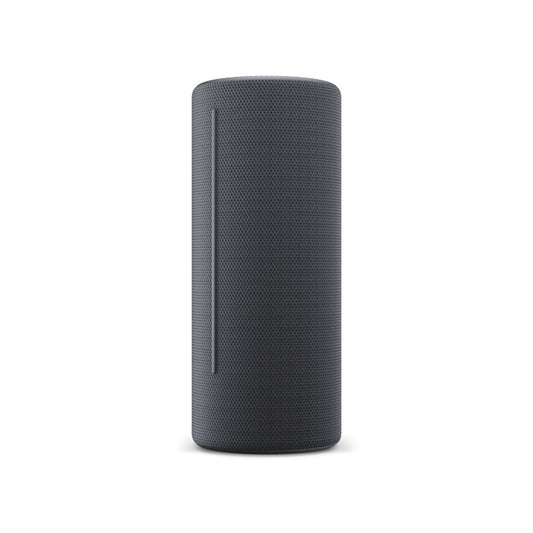 Bluetooth Speakers Loewe Grey