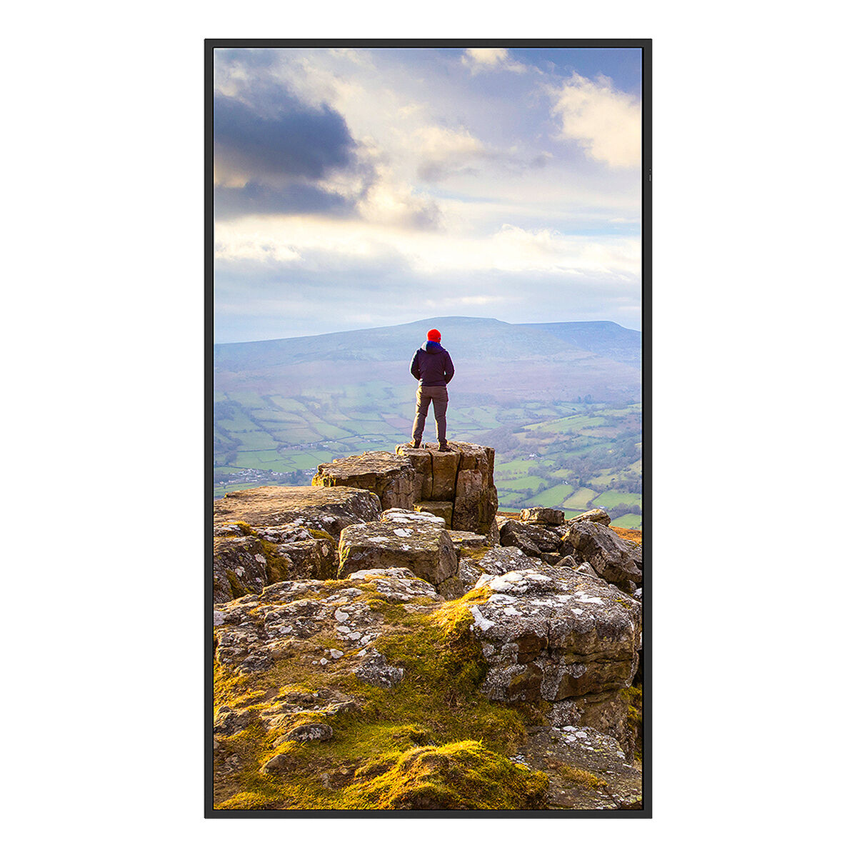 Videowall Monitor Sharp 60006181 4K Ultra HD 43"