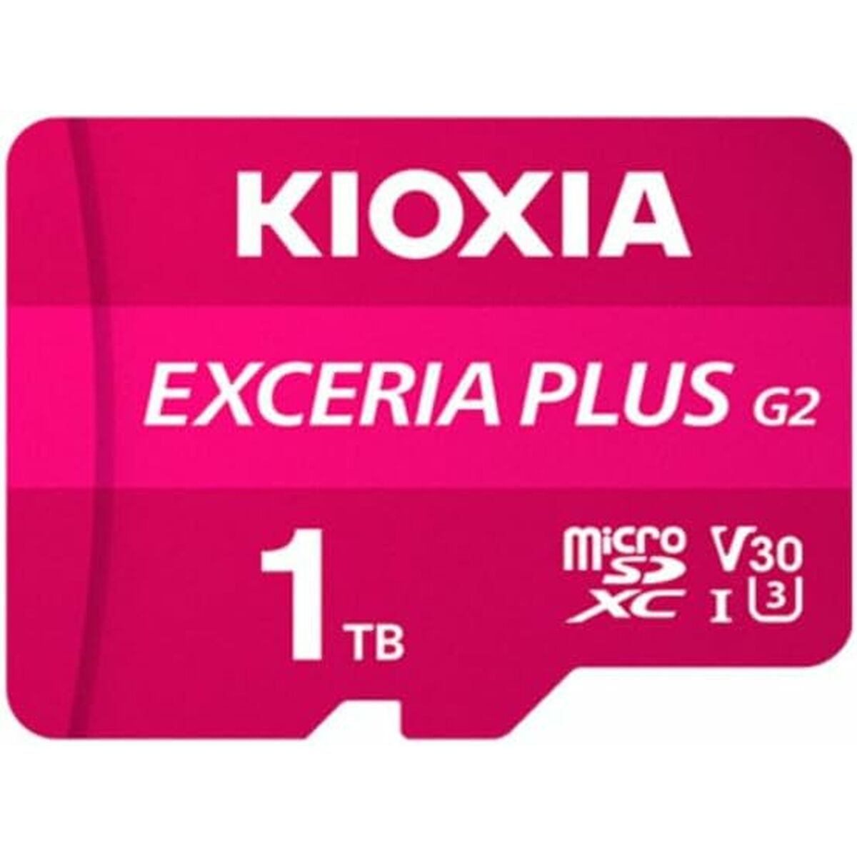Micro SD Card Kioxia LMPL2M001TG2