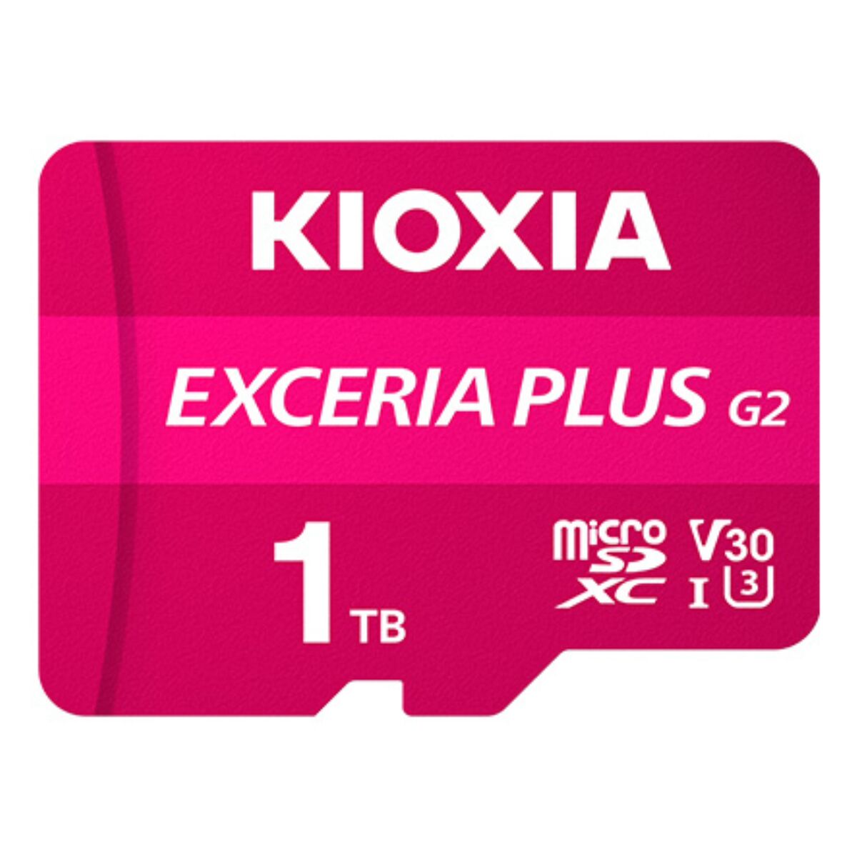 Micro SD Card Kioxia LMPL2M001TG2
