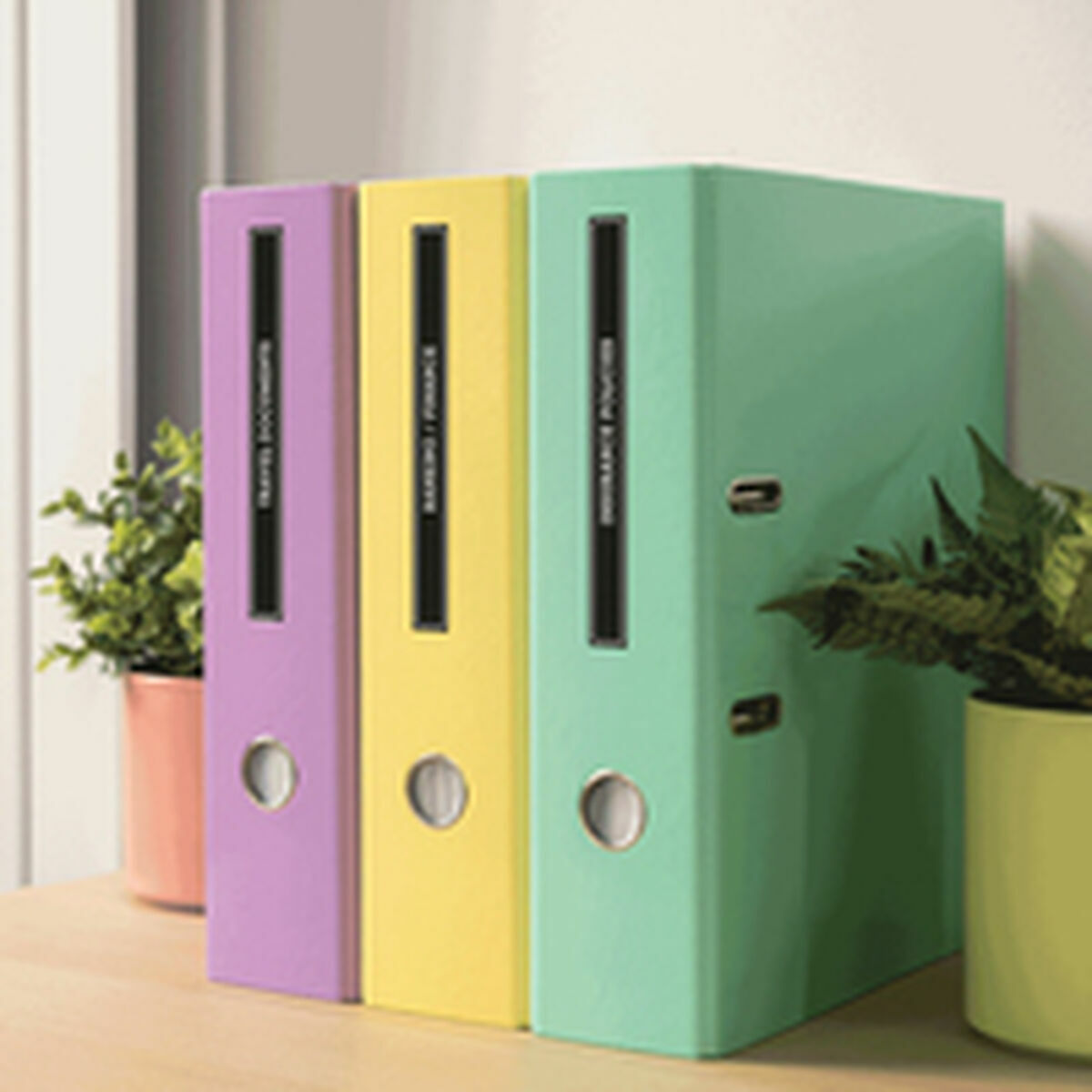 Charger + Rechargeable Batteries Brother PTN25BTQL1 White