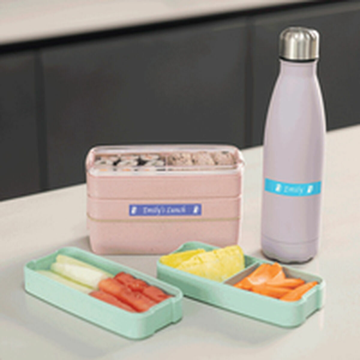 Charger + Rechargeable Batteries Brother PTN25BTQL1 White