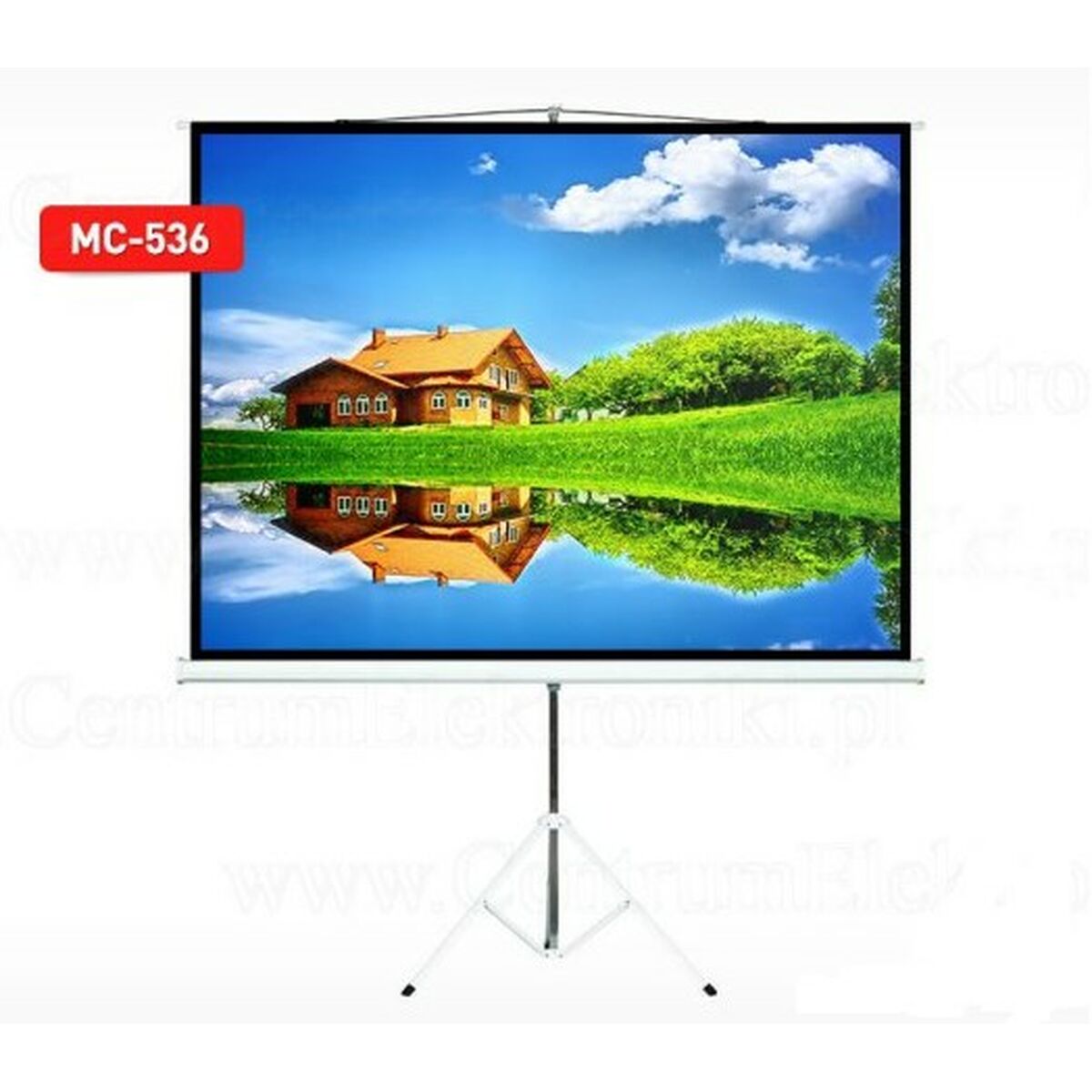 Projection Screen MacLean MC-536 72"
