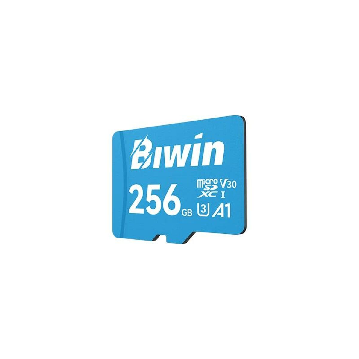 Memory Card Micro SDXC Biwin MS100 256 GB