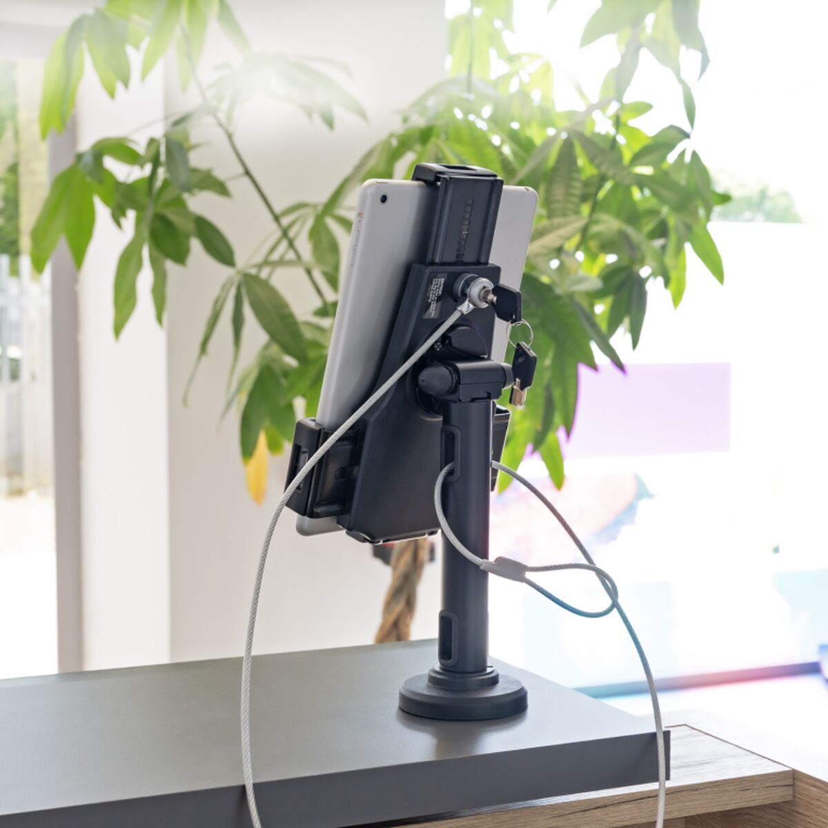 Mobile support TooQ TQTDS0812