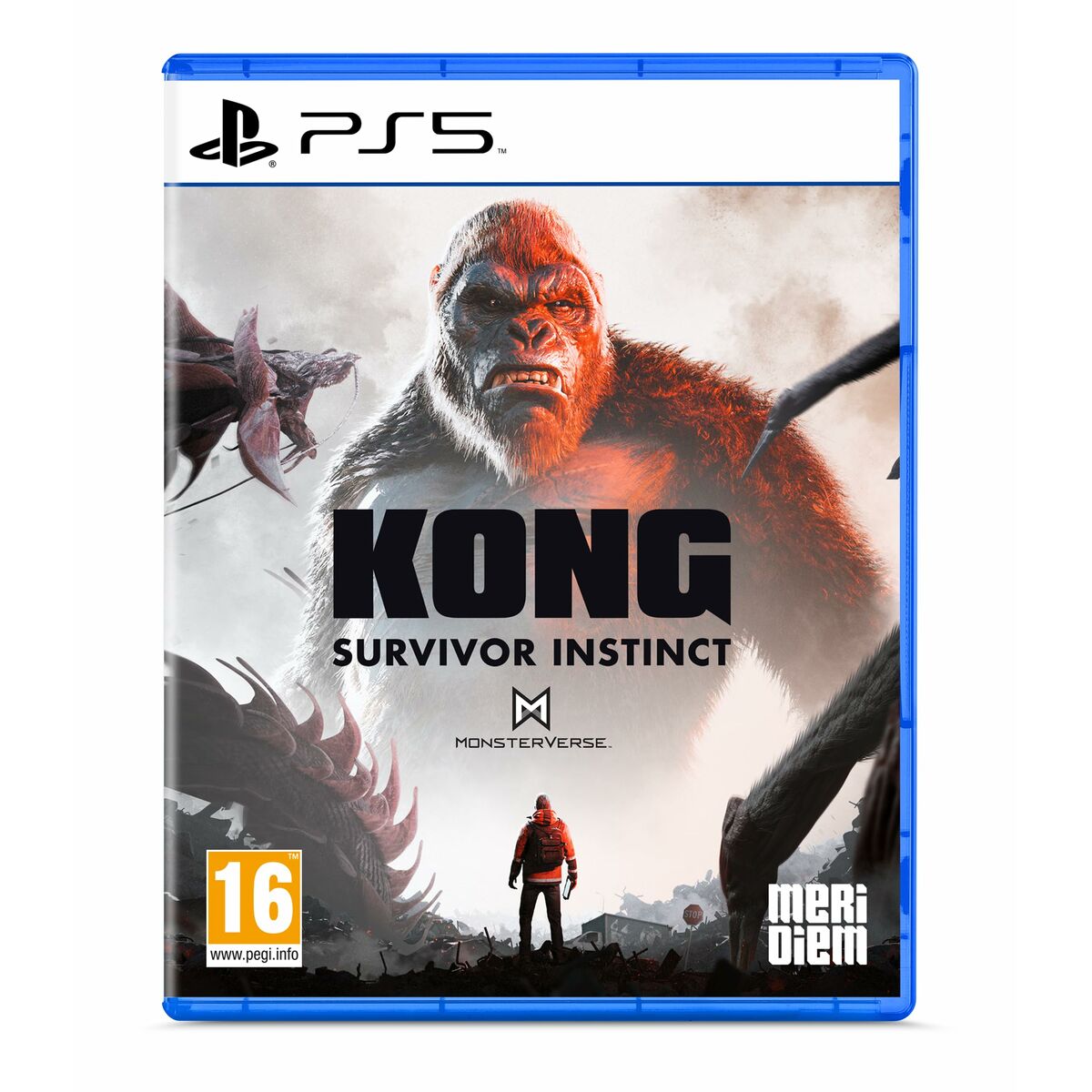 PlayStation 5 Video Game Microids