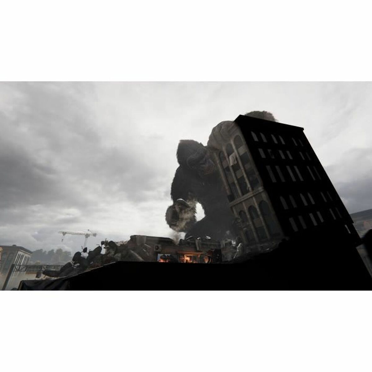 PlayStation 5 Video Game Microids