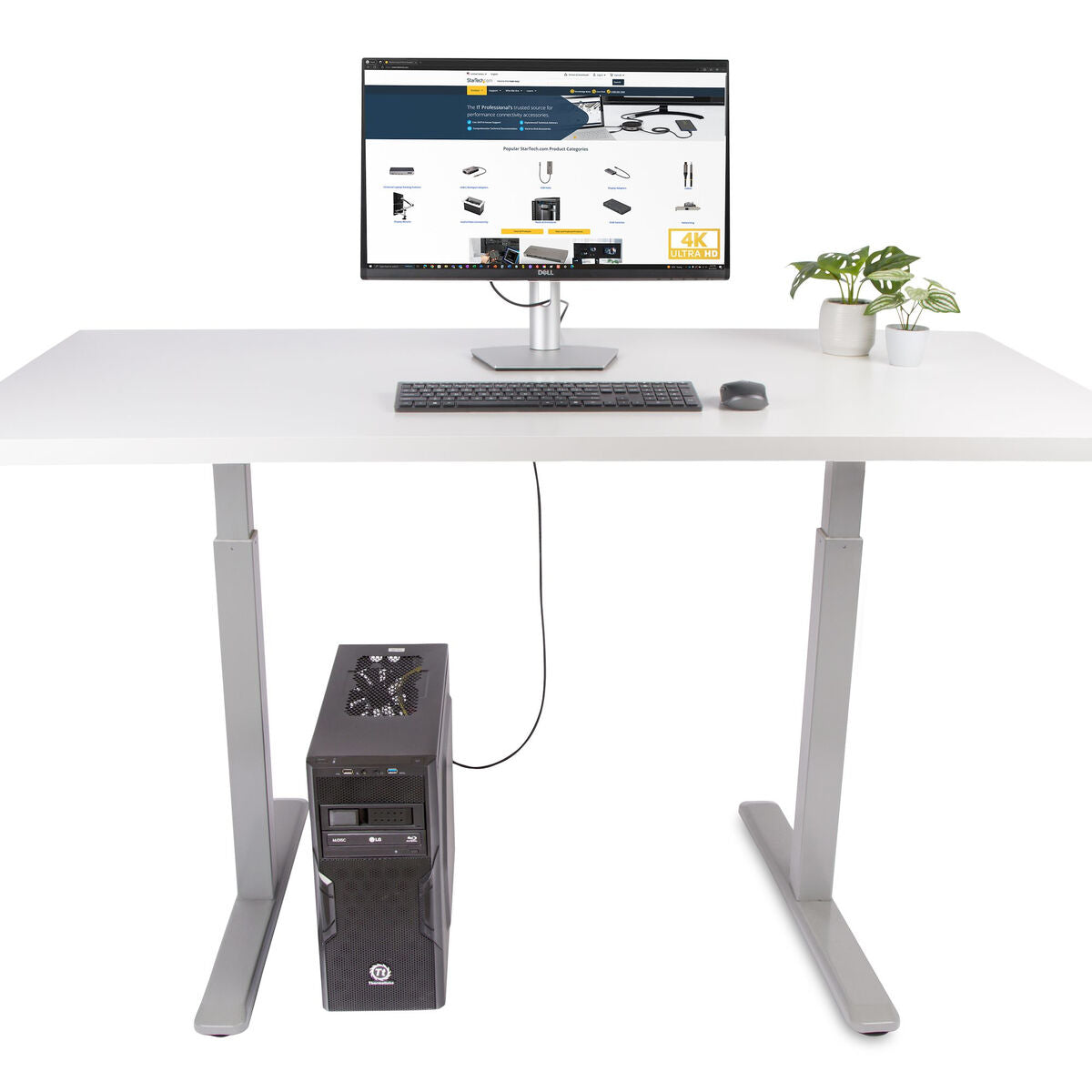 DisplayPort to HDMI Adapter Startech 6F-DP-HDMI-4K60-HDR Black 2 m